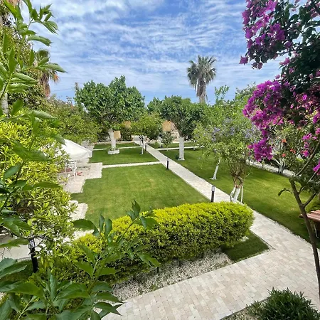 Guest house Alican 3*