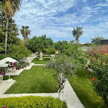 Alican Гостевой дом 3*