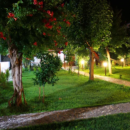 Alican 3*