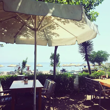 Alican Гостевой дом 3*