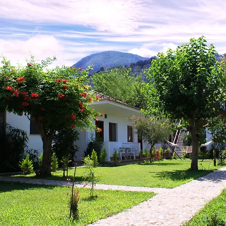 Pensionat Alican 3*