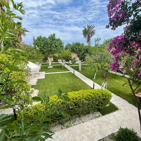 Alican 3* Çıralı