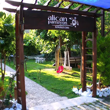 Guest house Alican