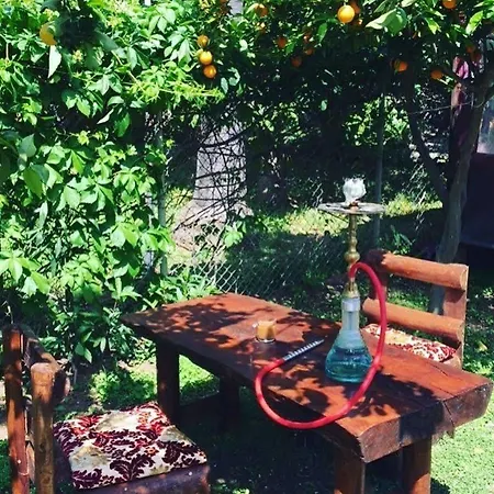Maison d'hôtes Alican 3*