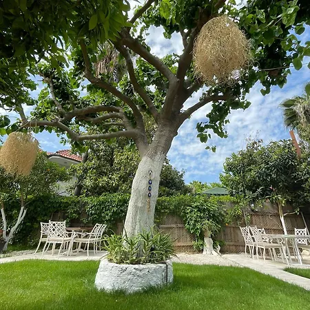 Alican Penzion Çıralı